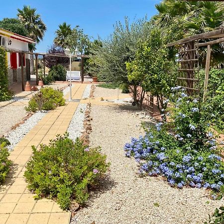 B&B Casa Azul Crevillente Bagian luar foto