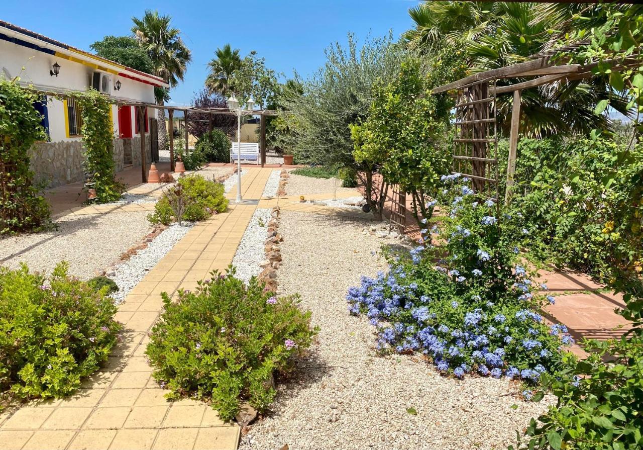 B&B Casa Azul Crevillente Bagian luar foto